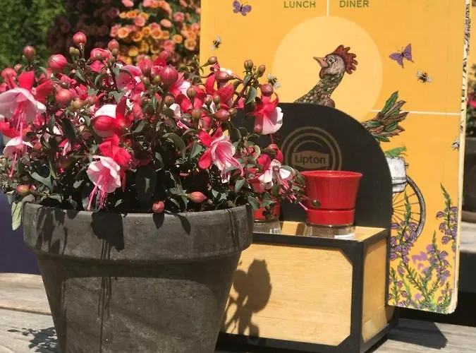 Apartmán Hei-d-away *