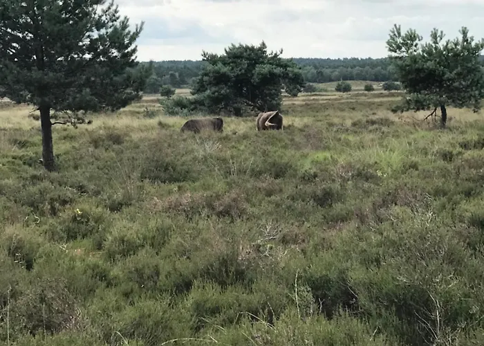 Hei-d-away Lejlighed